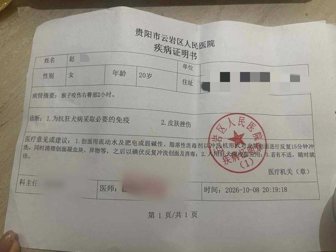 女子在黔灵山公园被猴子咬伤右臀，景区回应：可报销疫苗费用，日常会驱赶主干道聚集猴群