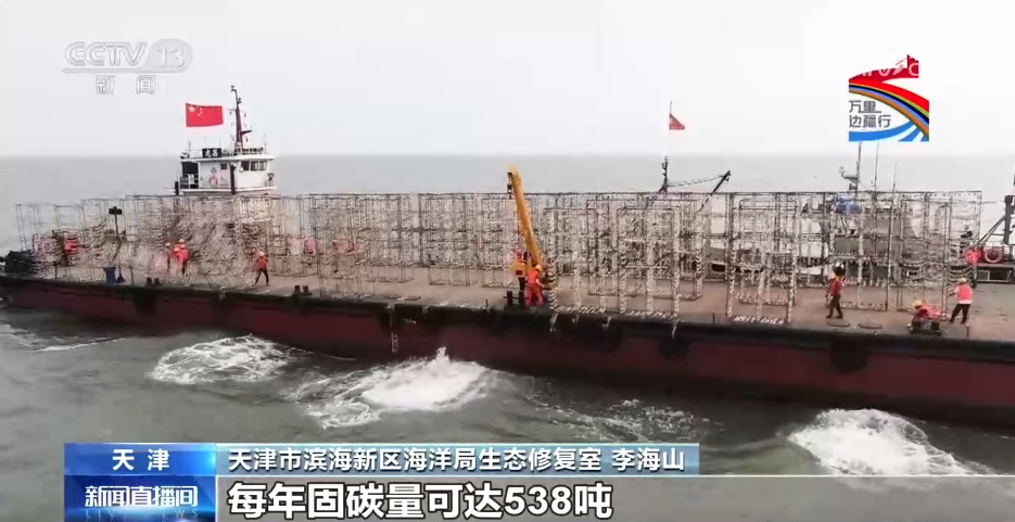 生态修复绘就滨海美丽新画卷 镜头记录湿地十年变迁