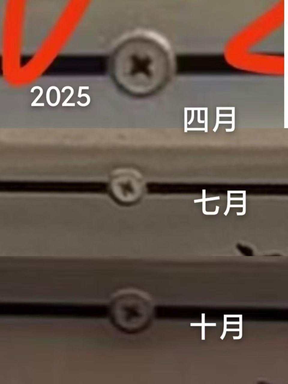 梅艳芳骨灰丢失,有歌迷一夜未睡,曾有人一年前留意存放处门牌螺丝有松动 梅艳芳骨灰丢失,有歌迷一夜未睡,曾有人一年前留意存放处门牌螺丝有松动