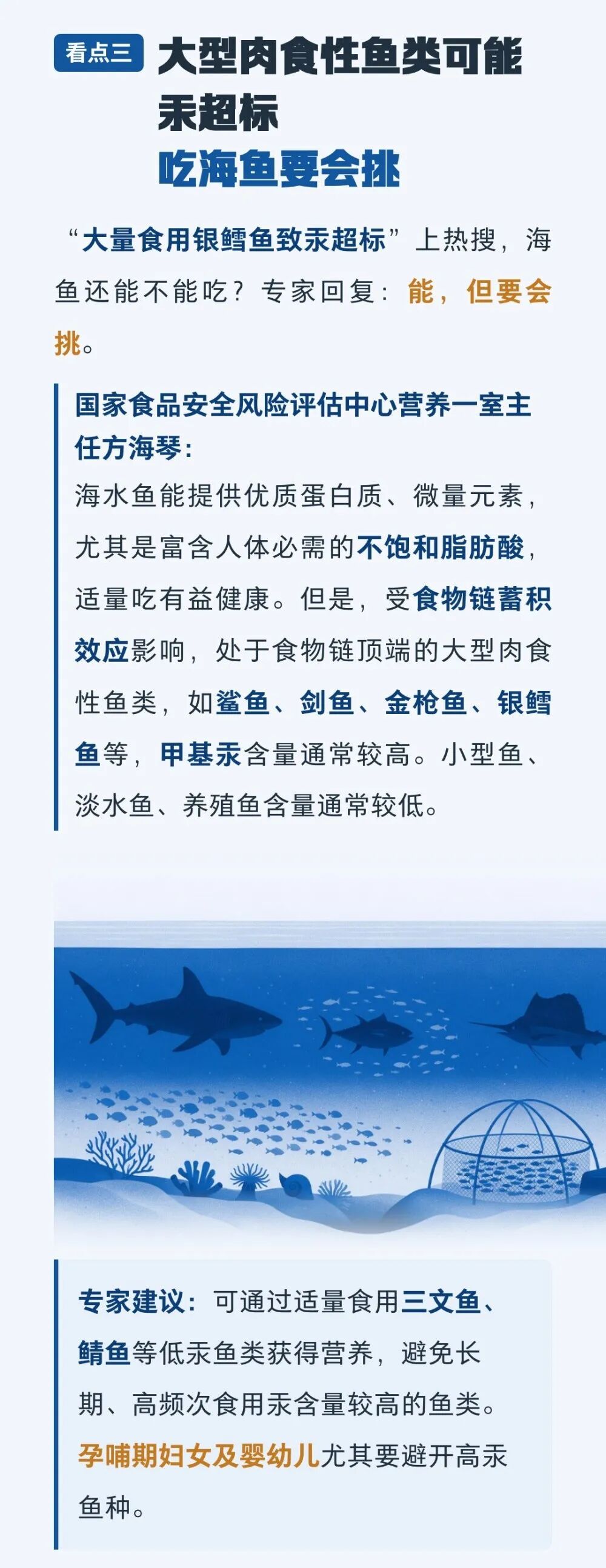 “大量食用银鳕鱼致汞超标”上热搜,海鱼还能不能吃? “大量食用银鳕鱼致汞超标”上热搜,海鱼还能不能吃?