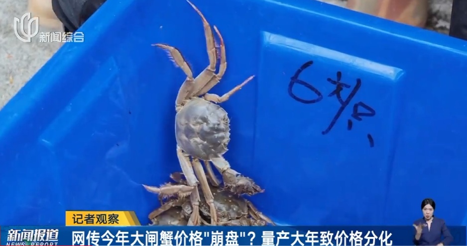 跌至5元一只!浙江人超爱的美味,已大量上市!老板:再等等,更肥更便宜… 跌至5元一只!浙江人超爱的美味,已大量上市!老板:再等等,更肥更便宜…