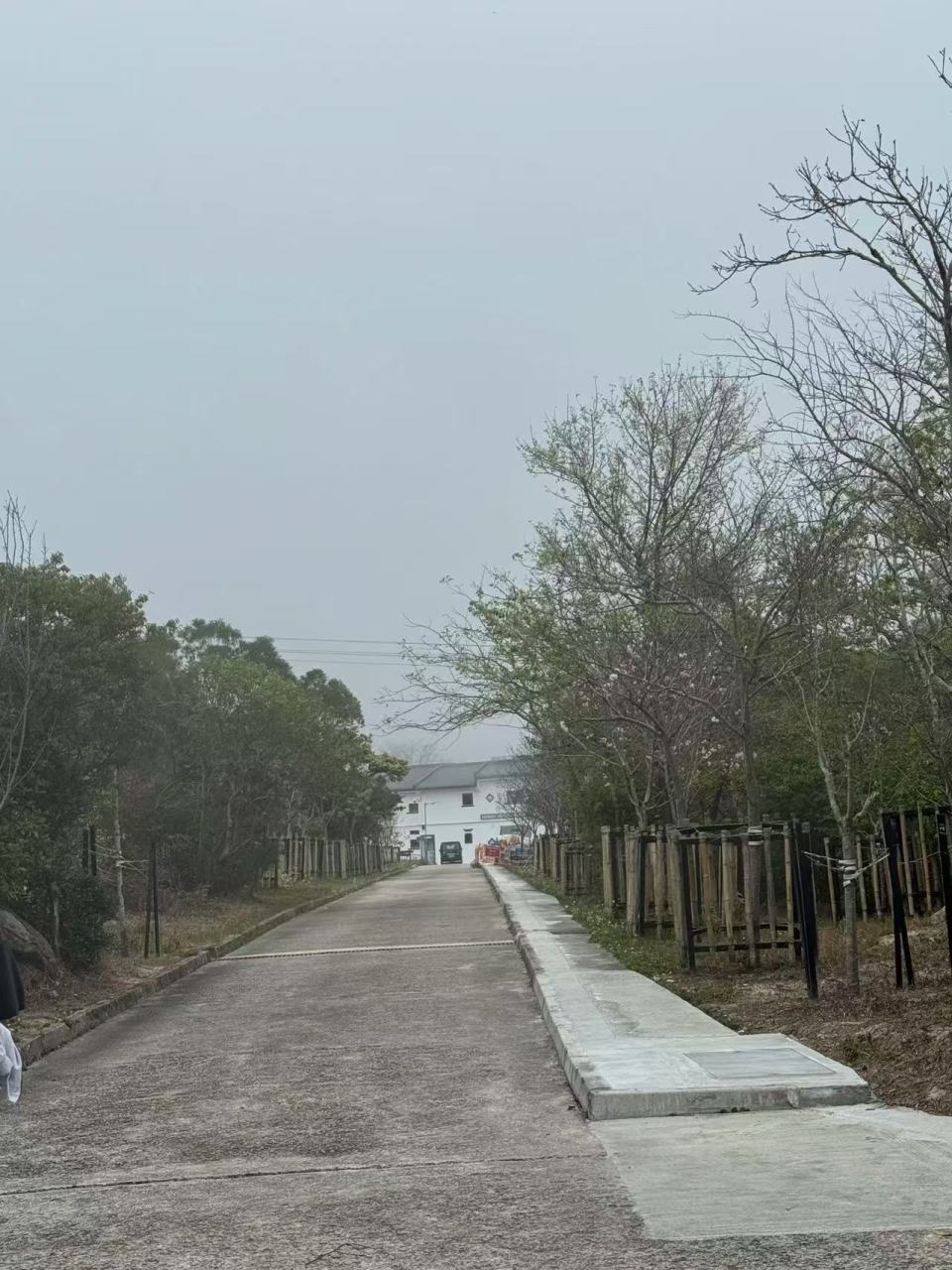 梅艳芳骨灰丢失,有歌迷一夜未睡,曾有人一年前留意存放处门牌螺丝有松动 梅艳芳骨灰丢失,有歌迷一夜未睡,曾有人一年前留意存放处门牌螺丝有松动