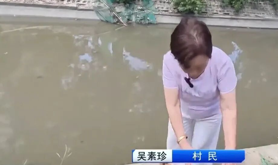 管阿姨、杨阿姨、吴阿姨、张叔叔、徐阿姨、倪阿姨,冲了上去 管阿姨、杨阿姨、吴阿姨、张叔叔、徐阿姨、倪阿姨,冲了上去