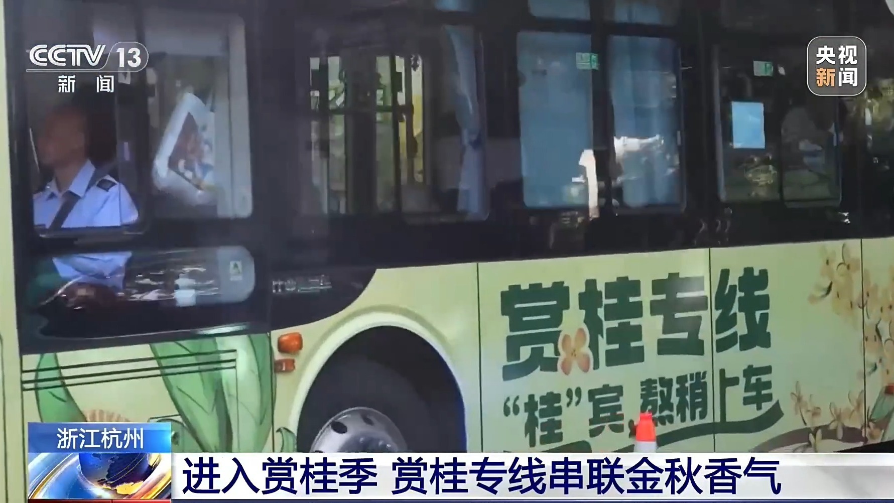 满城桂香入秋来 感受杭州满觉陇村的秋日限定浪漫 满城桂香入秋来 感受杭州满觉陇村的秋日限定浪漫