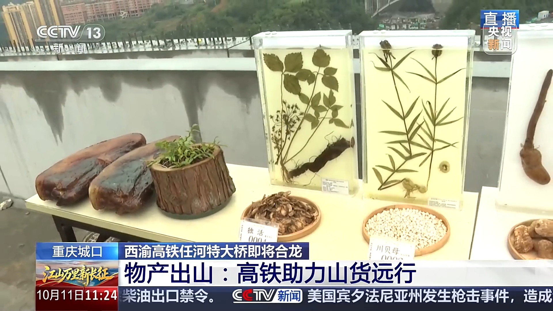 在峡谷中建60层“摩天大楼” 西渝高铁任河特大桥将合龙 在峡谷中建60层“摩天大楼” 西渝高铁任河特大桥将合龙