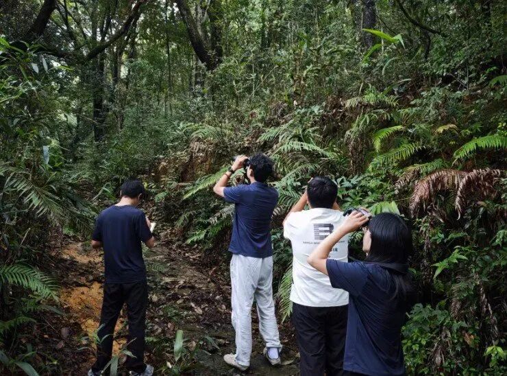 广东一地现“世界最小鸭”,体重仅200至300克,远看像一团漂浮在水面的白棉絮 广东一地现“世界最小鸭”,体重仅200至300克,远看像一团漂浮在水面的白棉絮