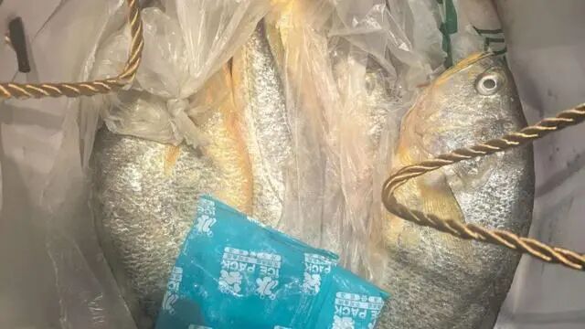 “鱼肚藏金”即将寄出,女子深陷“理财”骗局,上海警方极限劝阻 “鱼肚藏金”即将寄出,女子深陷“理财”骗局,上海警方极限劝阻