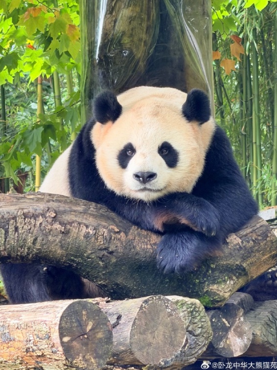 官方通报：多人被终身禁入！