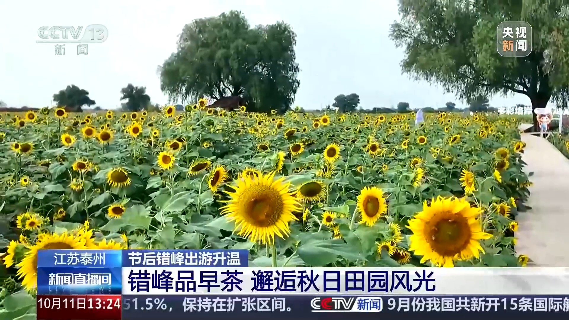 机票价格明显回落、住宿折扣加大 节后错峰出游持续升温