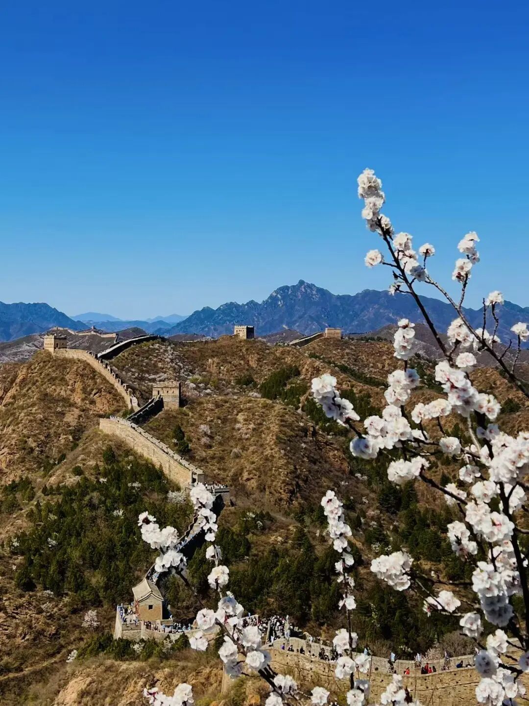 为啥周末都要去河北？