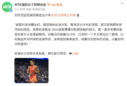 郑钦文武网退赛不会扣积分