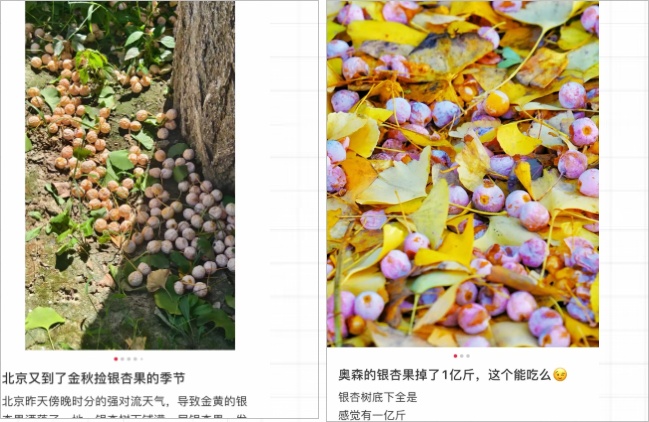 不要吃!不要捡!近期正大量出现 不要吃!不要捡!近期正大量出现
