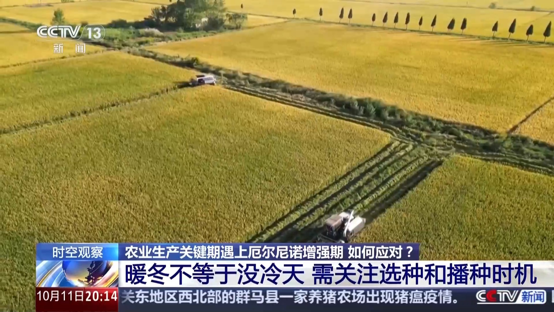 厄尔尼诺扰动全球 我国农业生产将如何应对挑战 厄尔尼诺扰动全球 我国农业生产将如何应对挑战