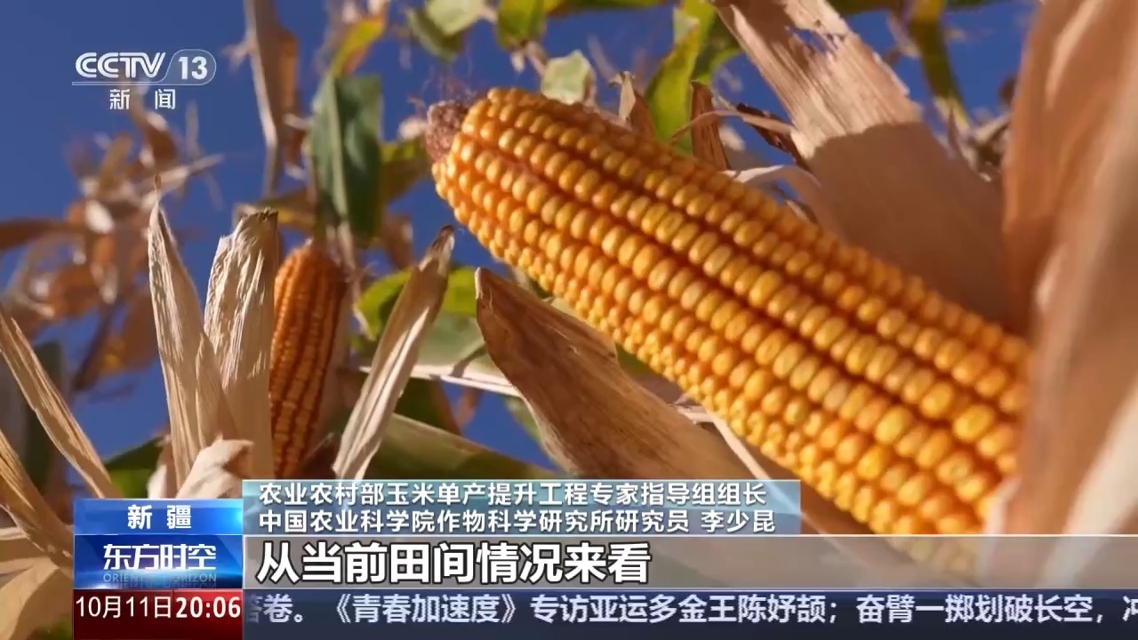 厄尔尼诺扰动全球 我国农业生产将如何应对挑战 厄尔尼诺扰动全球 我国农业生产将如何应对挑战