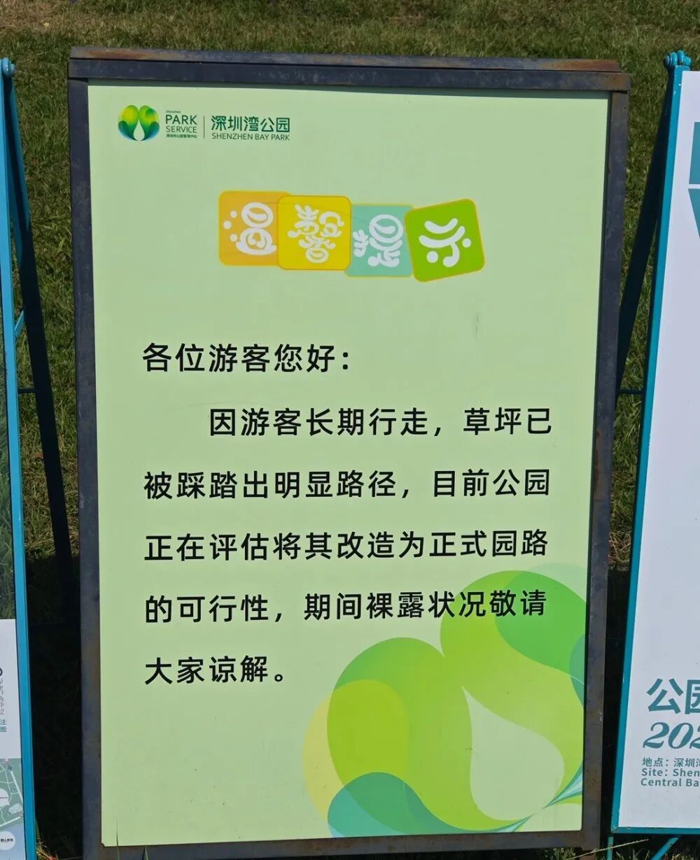 深圳湾公园草坪被游客踩出一条路，官方回应：正在评估是否改成正式园路