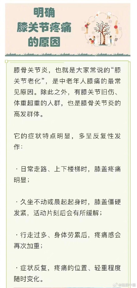 膝盖一疼就静养?错!用对方法才能科学护膝 膝盖一疼就静养?错!用对方法才能科学护膝