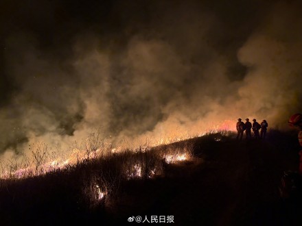 蒙古国草原火逼近我边境 蒙古国草原火逼近我边境