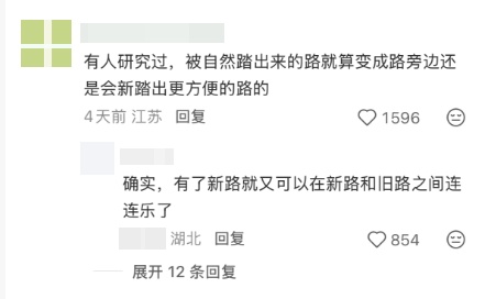 深圳湾公园草坪被游客踩出一条路，官方回应：正在评估是否改成正式园路