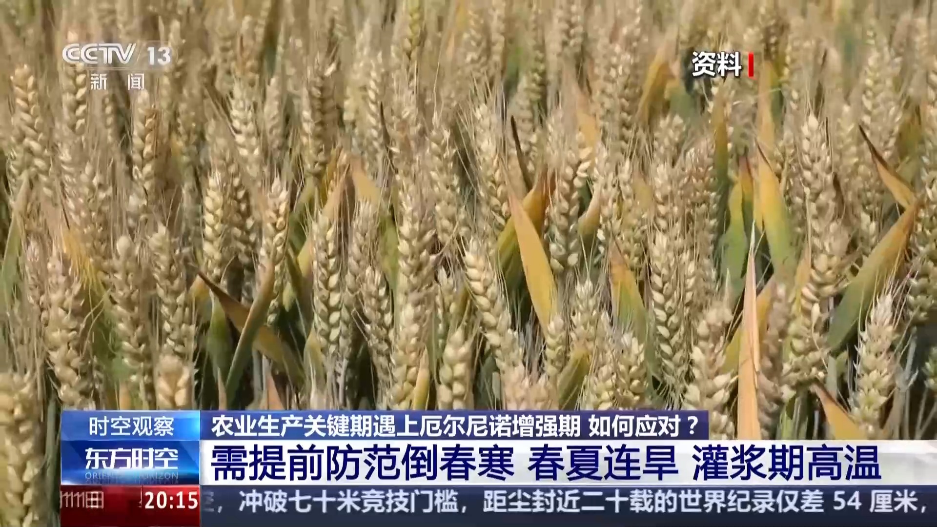 厄尔尼诺扰动全球 我国农业生产将如何应对挑战 厄尔尼诺扰动全球 我国农业生产将如何应对挑战