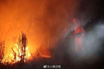 蒙古国草原火逼近我边境 蒙古国草原火逼近我边境