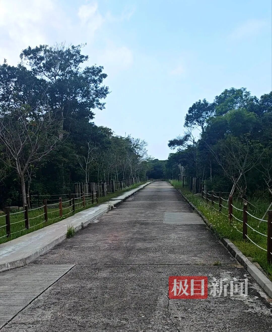“梅艳芳骨灰失踪”后实探香港宝莲禅寺:骨灰安放处位置隐蔽,连僧人也不知道有这个地方,周围设有多个监控摄像头,警方正在寺内调查 “梅艳芳骨灰失踪”后实探香港宝莲禅寺:骨灰安放处位置隐蔽,连僧人也不知道有这个地方,周围设有多个监控摄像头,警方正在寺内调查