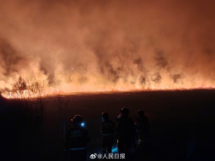 蒙古国草原火逼近我边境 蒙古国草原火逼近我边境
