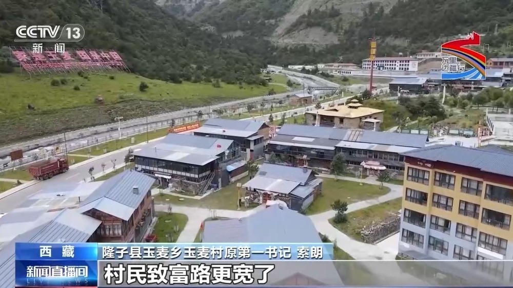 从草场放牧到高原种菊 西藏特色种养产业让群众致富增收 从草场放牧到高原种菊 西藏特色种养产业让群众致富增收