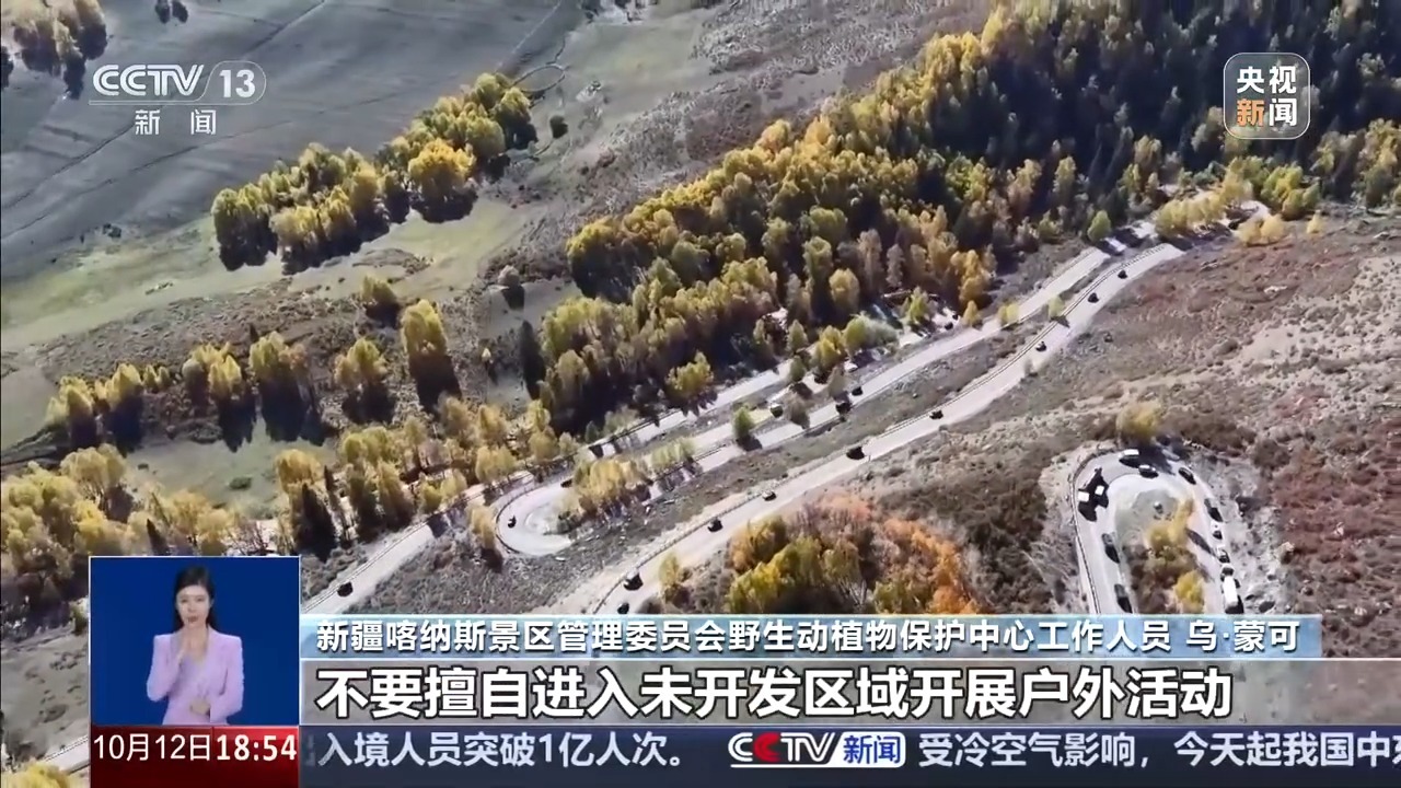 喀纳斯棕熊索食险酿大祸?新疆布尔津县委网信办:网传内容系AI合成 喀纳斯棕熊索食险酿大祸?新疆布尔津县委网信办:网传内容系AI合成