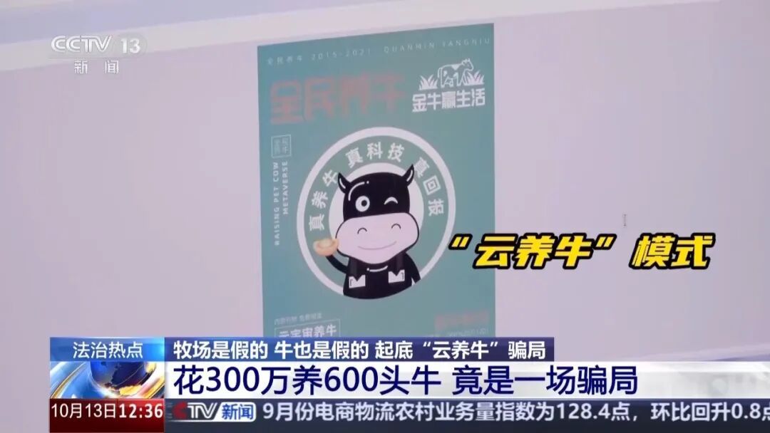 5000元认养一头牛,平台帮养还帮卖,只管坐收其利?央视起底“云养牛”骗局 5000元认养一头牛,平台帮养还帮卖,只管坐收其利?央视起底“云养牛”骗局