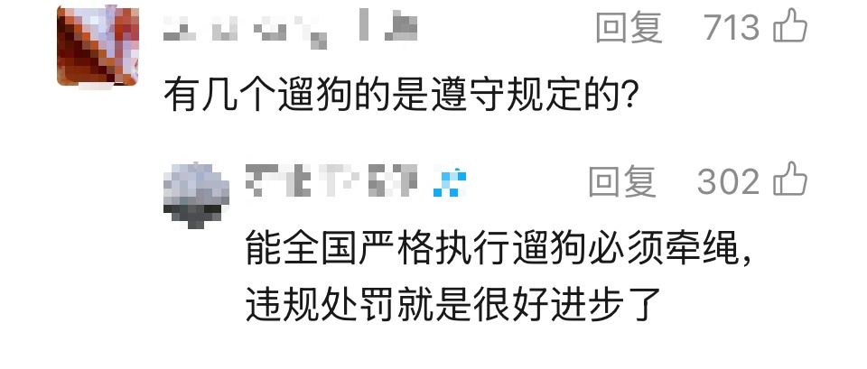 “杭州白天遛狗罚款”冲上热搜,当地回应:并非新规→ “杭州白天遛狗罚款”冲上热搜,当地回应:并非新规→