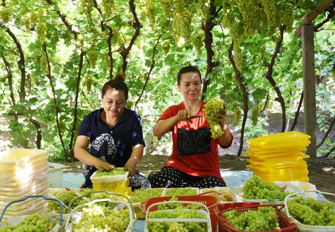 步行可到机场，这座高铁站近期客流火爆