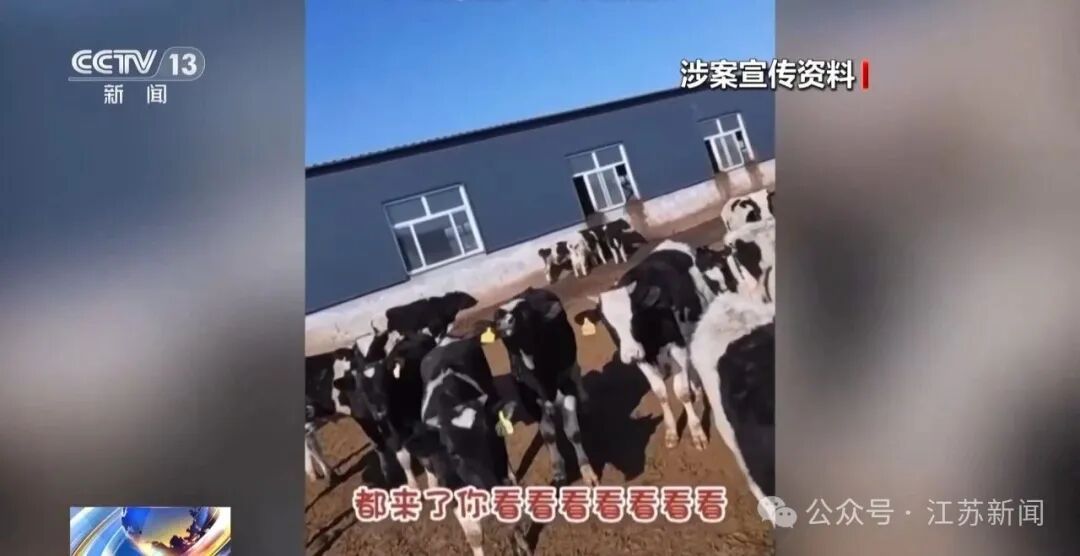 男子花300万元在线认养600头澳洲肉牛,结果牧场和牛都是假的!上海检方披露5.6亿骗局→ 男子花300万元在线认养600头澳洲肉牛,结果牧场和牛都是假的!上海检方披露5.6亿骗局→