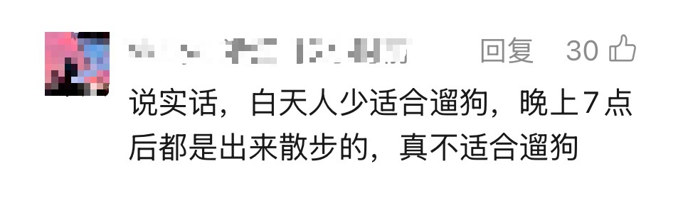 “杭州白天遛狗罚款”冲上热搜,当地回应:并非新规→ “杭州白天遛狗罚款”冲上热搜,当地回应:并非新规→
