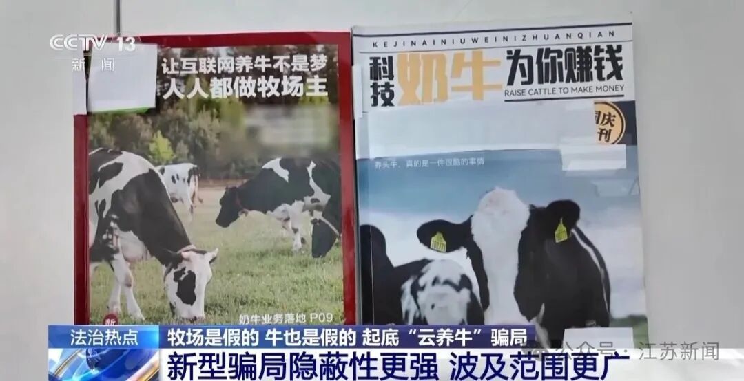 男子花300万元在线认养600头澳洲肉牛,结果牧场和牛都是假的!上海检方披露5.6亿骗局→ 男子花300万元在线认养600头澳洲肉牛,结果牧场和牛都是假的!上海检方披露5.6亿骗局→