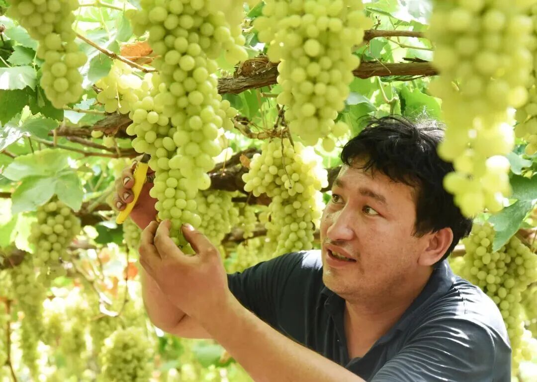 步行可到机场，这座高铁站近期客流火爆