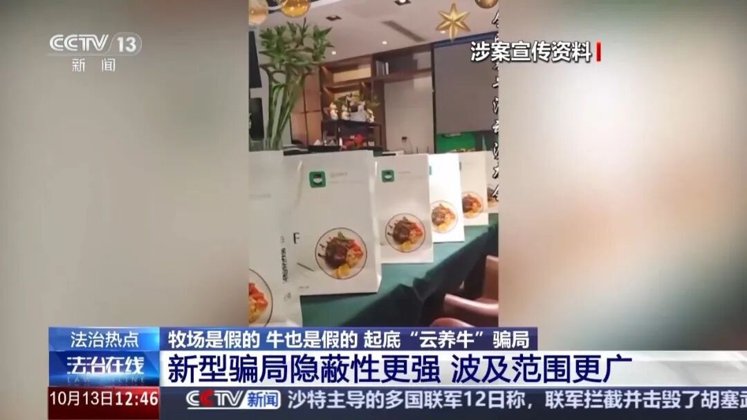 5000元认养一头牛,平台帮养还帮卖,只管坐收其利?央视起底“云养牛”骗局 5000元认养一头牛,平台帮养还帮卖,只管坐收其利?央视起底“云养牛”骗局