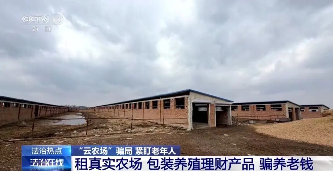 男子花300万元在线认养600头澳洲肉牛,结果牧场和牛都是假的!上海检方披露5.6亿骗局→ 男子花300万元在线认养600头澳洲肉牛,结果牧场和牛都是假的!上海检方披露5.6亿骗局→