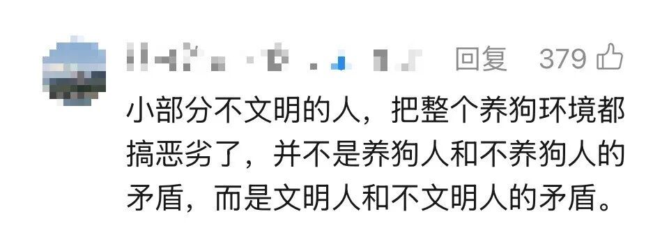 “杭州白天遛狗罚款”冲上热搜,当地回应:并非新规→ “杭州白天遛狗罚款”冲上热搜,当地回应:并非新规→