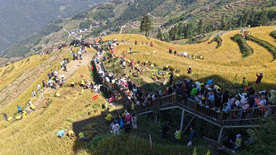 湖南溆浦:山背梯田里的农特集市 书写雪峰山区“丰收答卷” 湖南溆浦:山背梯田里的农特集市 书写雪峰山区“丰收答卷”