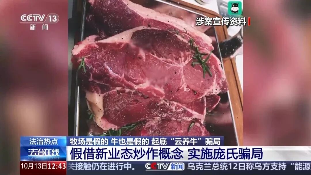 5000元认养一头牛,平台帮养还帮卖,只管坐收其利?央视起底“云养牛”骗局 5000元认养一头牛,平台帮养还帮卖,只管坐收其利?央视起底“云养牛”骗局