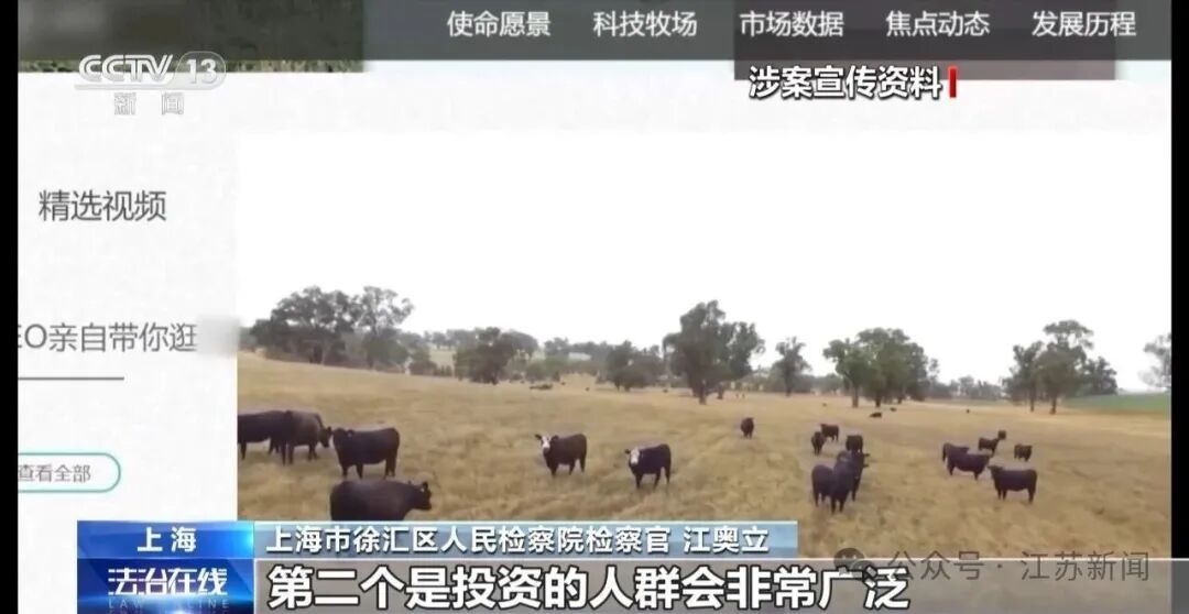 男子花300万元在线认养600头澳洲肉牛,结果牧场和牛都是假的!上海检方披露5.6亿骗局→ 男子花300万元在线认养600头澳洲肉牛,结果牧场和牛都是假的!上海检方披露5.6亿骗局→