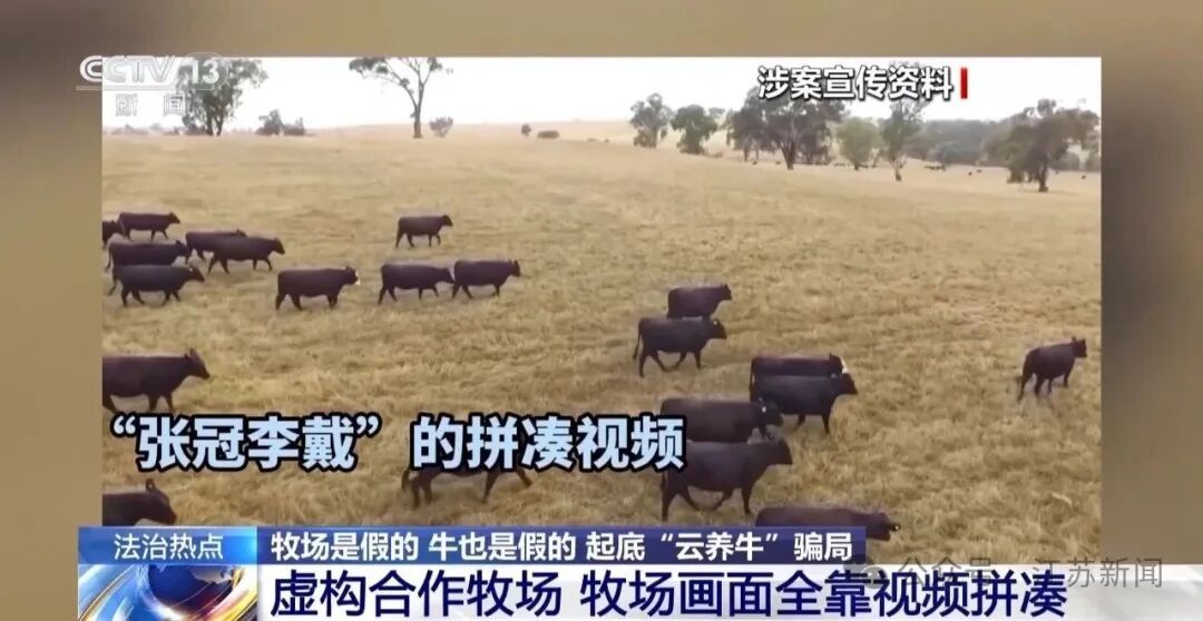 男子花300万元在线认养600头澳洲肉牛,结果牧场和牛都是假的!上海检方披露5.6亿骗局→ 男子花300万元在线认养600头澳洲肉牛,结果牧场和牛都是假的!上海检方披露5.6亿骗局→