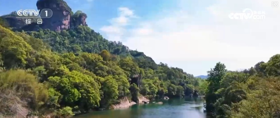 五载青绿答卷，万里山河如画 “美丽国土”治理从“人工巡护”迈向“智慧守护”