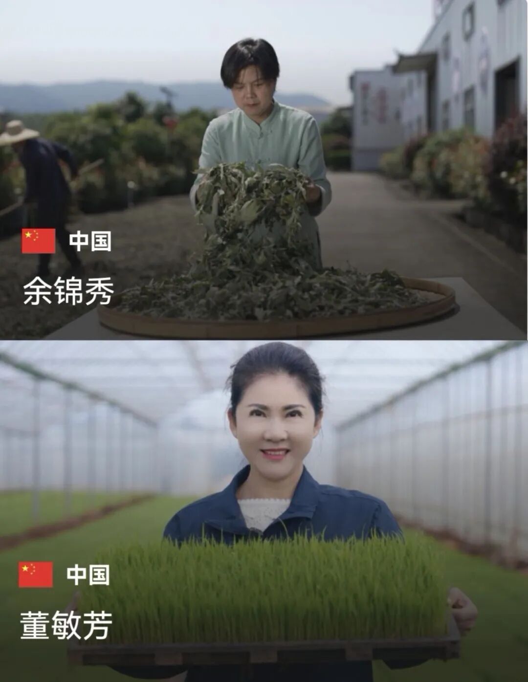 两名中国女性入选！祝贺余锦秀、董敏芳