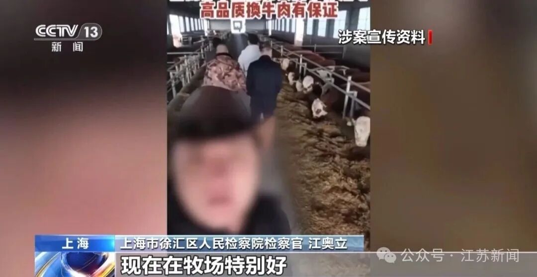男子花300万元在线认养600头澳洲肉牛,结果牧场和牛都是假的!上海检方披露5.6亿骗局→ 男子花300万元在线认养600头澳洲肉牛,结果牧场和牛都是假的!上海检方披露5.6亿骗局→