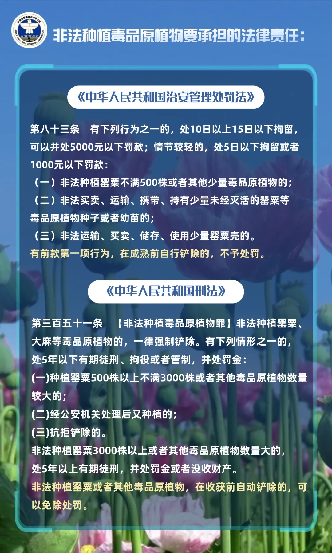 秋播季注意！这样的“菜”，种一株也违法！