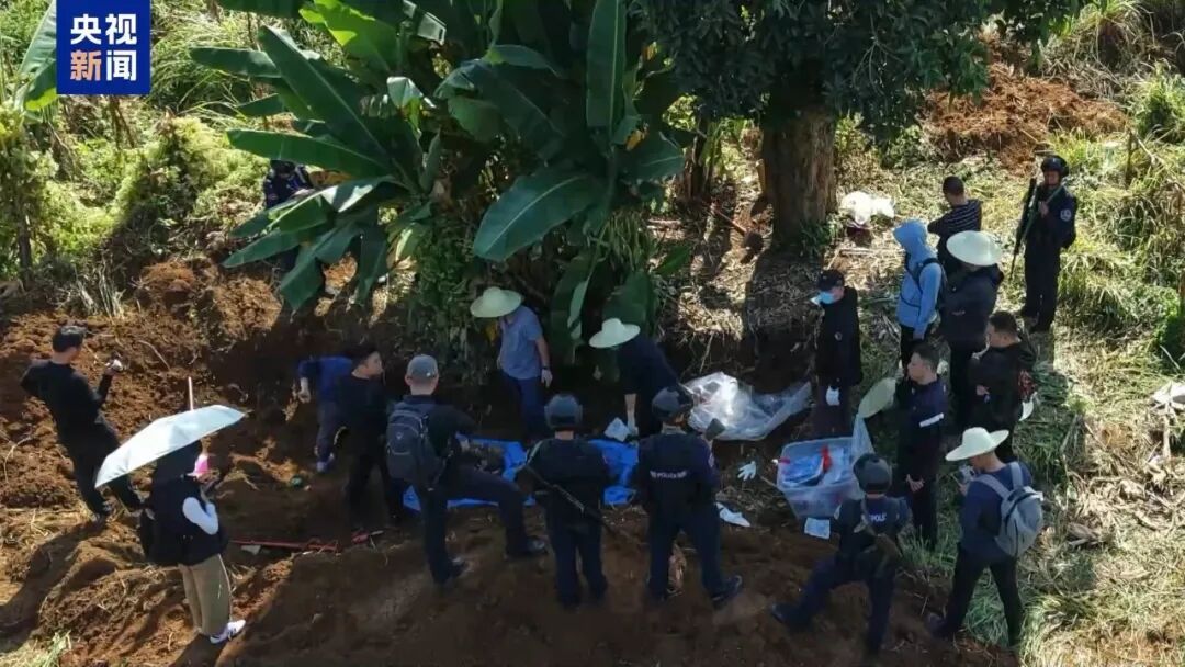 一审3人被判死刑!缅北魏家犯罪集团覆灭始末 一审3人被判死刑!缅北魏家犯罪集团覆灭始末