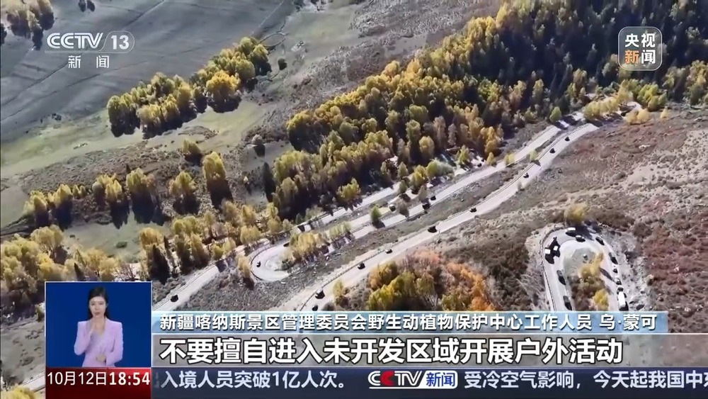 真相来了丨网传“新疆喀纳斯棕熊索食险酿大祸”是真的吗? 真相来了丨网传“新疆喀纳斯棕熊索食险酿大祸”是真的吗?