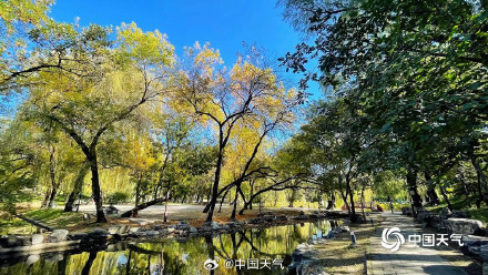 秋日限定 圆明园树叶进入调色盘模式 秋日限定 圆明园树叶进入调色盘模式