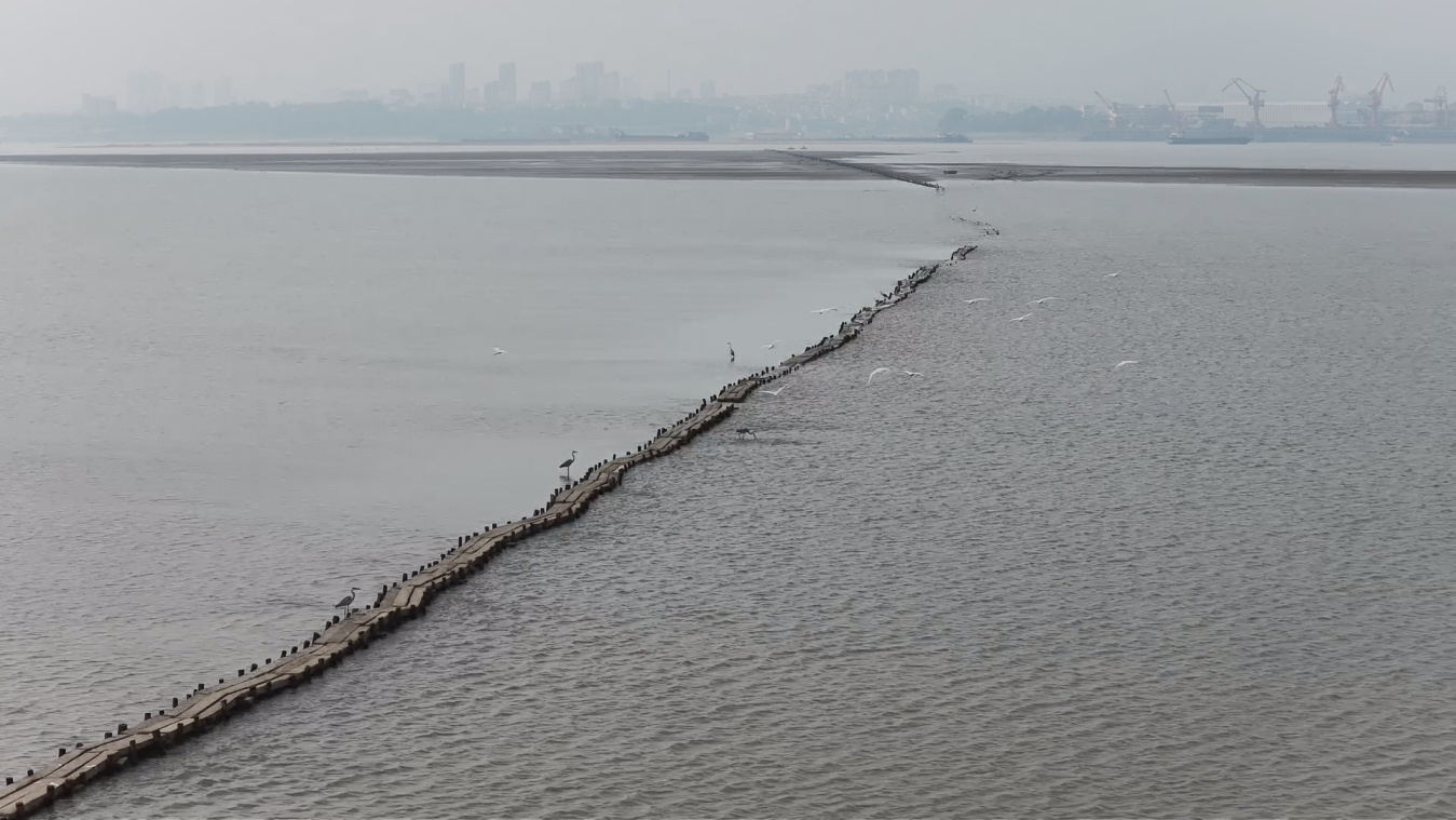 江西:鄱阳湖水位缓退 明代古桥展露真容 江西:鄱阳湖水位缓退 明代古桥展露真容